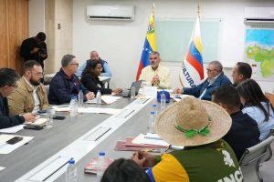 Padrino López coordina planes de producción arrocera en Guárico
