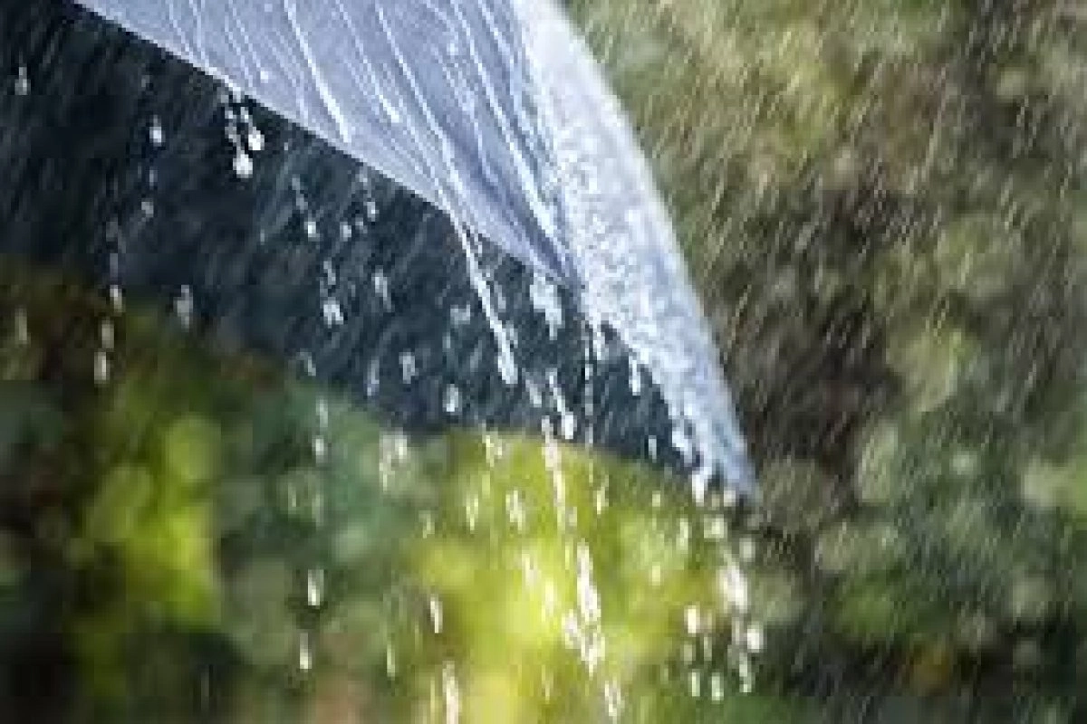 Onda tropical N° 17 se aproxima al oriente del país y prevé lluvias en el territorio
