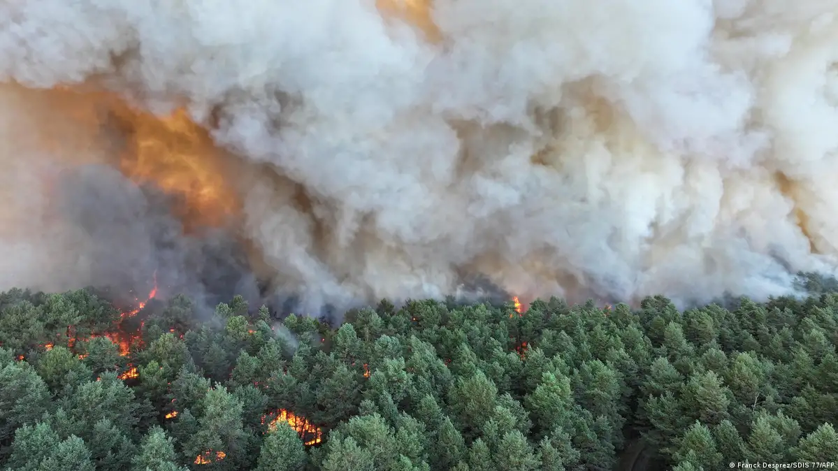 Incendio consume el 8% de la reserva forestal más grande de Francia
