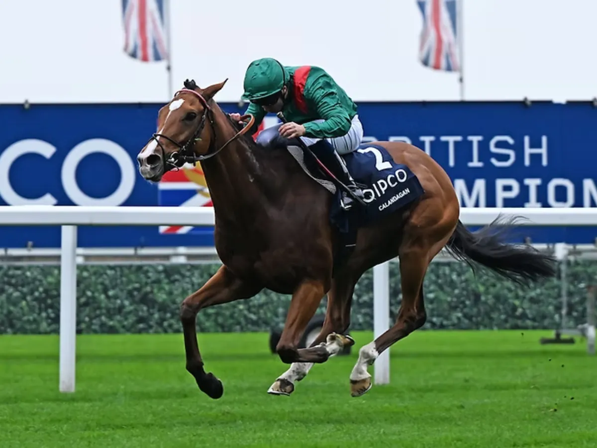 Calandagan va por el Grand Prix de Saint-Cloud