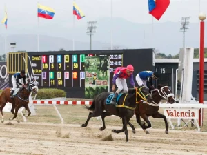 Va la Copa Tintoreto en Valencia