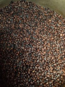 El Hatillo apuesta por producción de café y cacao