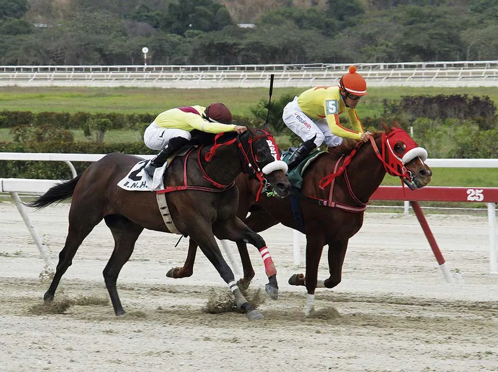 Copa Unión de Jinetes va en el Hipódromo de Valencia