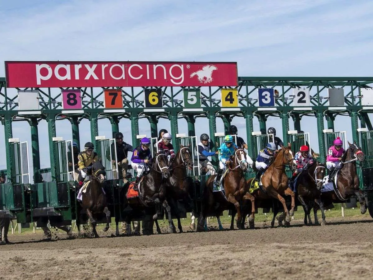 Parx Racing estrenará césped - Líder en deportes