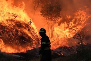 Combaten seis incendios forestales en Portugal