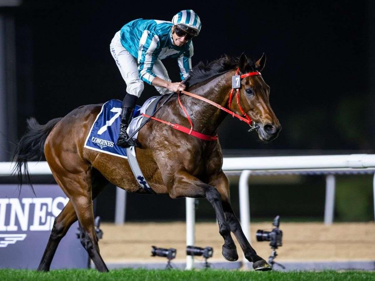Romantic Warrior designado como el mejor de Hong Kong