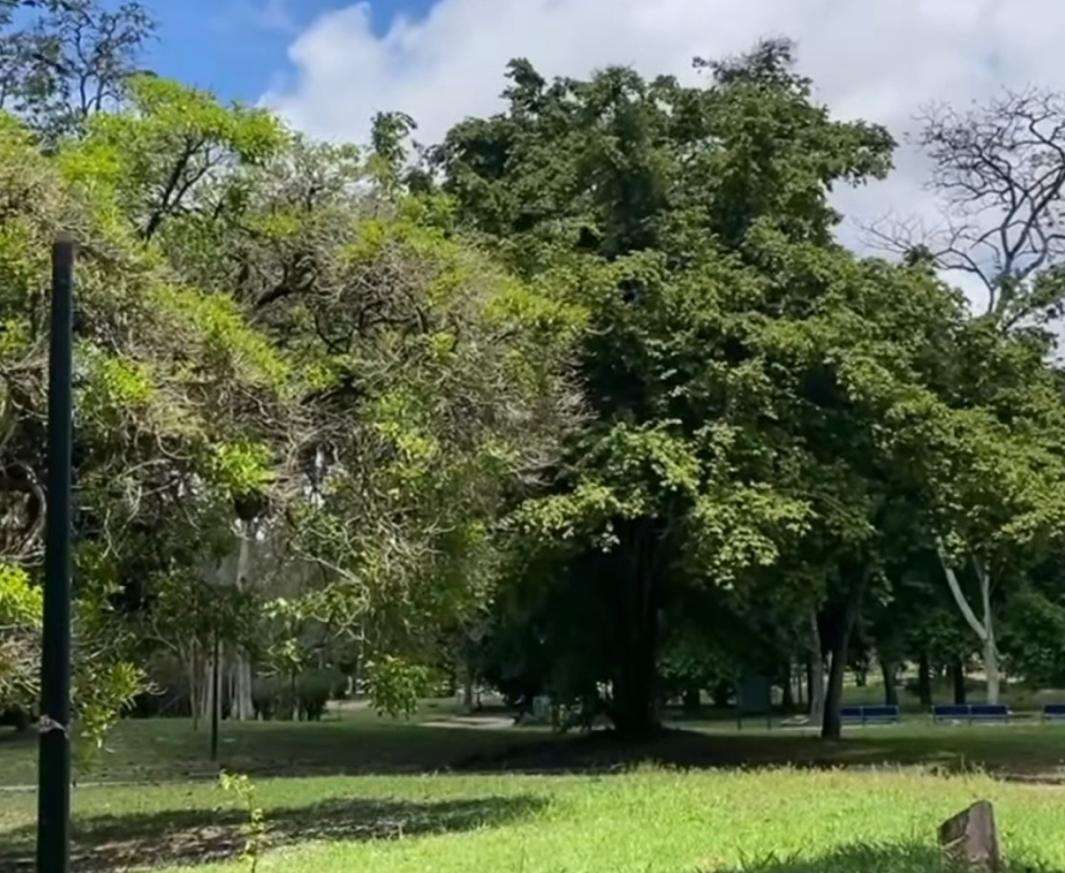 El Parque Francisco de Miranda reabrió sus puertas al público