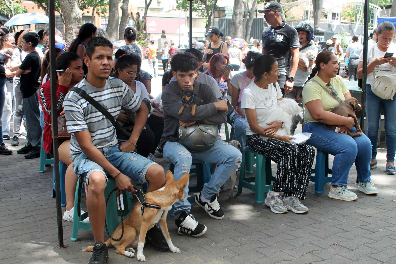 Adoptaron mascotas en plaza La Candelaria