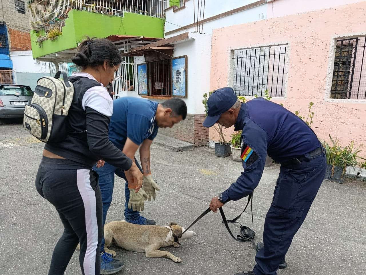 Tres presentados y 100 actuaciones por maltrato animal en Guaicaipuro