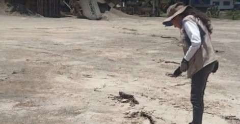 Funvisis evalúa deformaciones del suelo en La Guaira tras terremotos