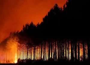 Venezuela expresa solidaridad con España y Francia por incendios forestales