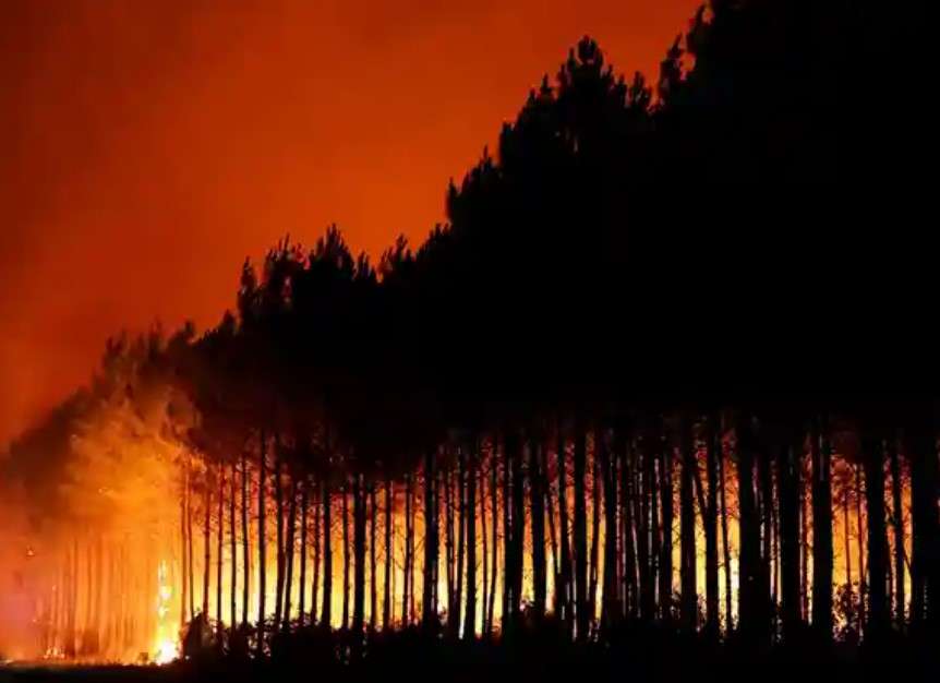 Venezuela expresa solidaridad con España y Francia por incendios forestales