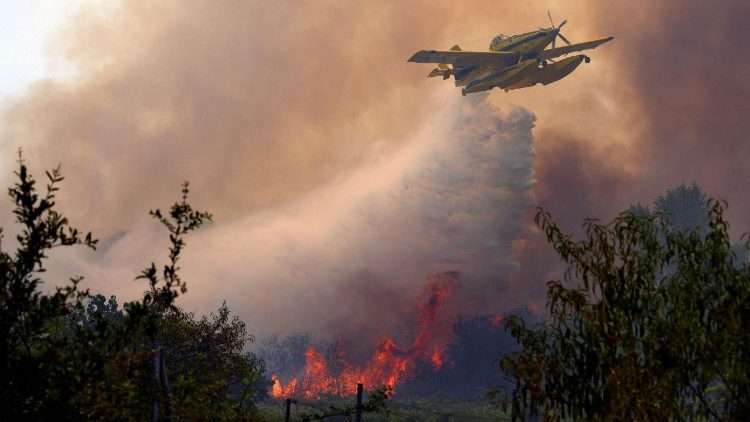 Papa León XIV pide oraciones por afectados por los incendios en Francia y España