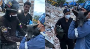 Lograron rescatar a un perro tras 19 días bajo los escombros de la OPP 26 en La Guaira