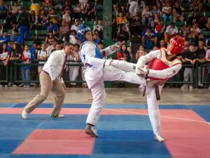 Grandados comanda el taekwondo en Santo Domingo