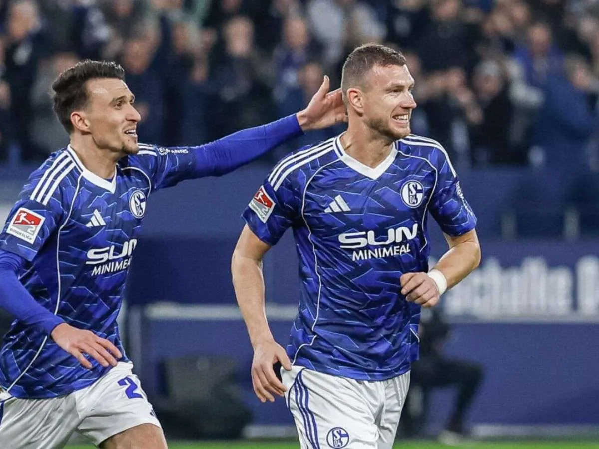 Edin Džeko se queda en el Schalke 04