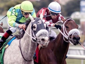 Los hermanos Ortiz arrasan en el circuito de Saratoga