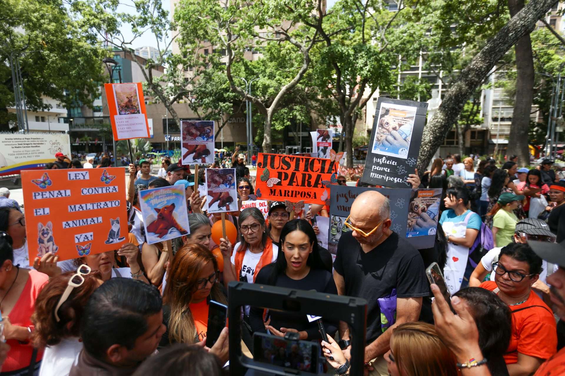 Asamblea Nacional avanza en la tipificación del maltrato animal como delito penal