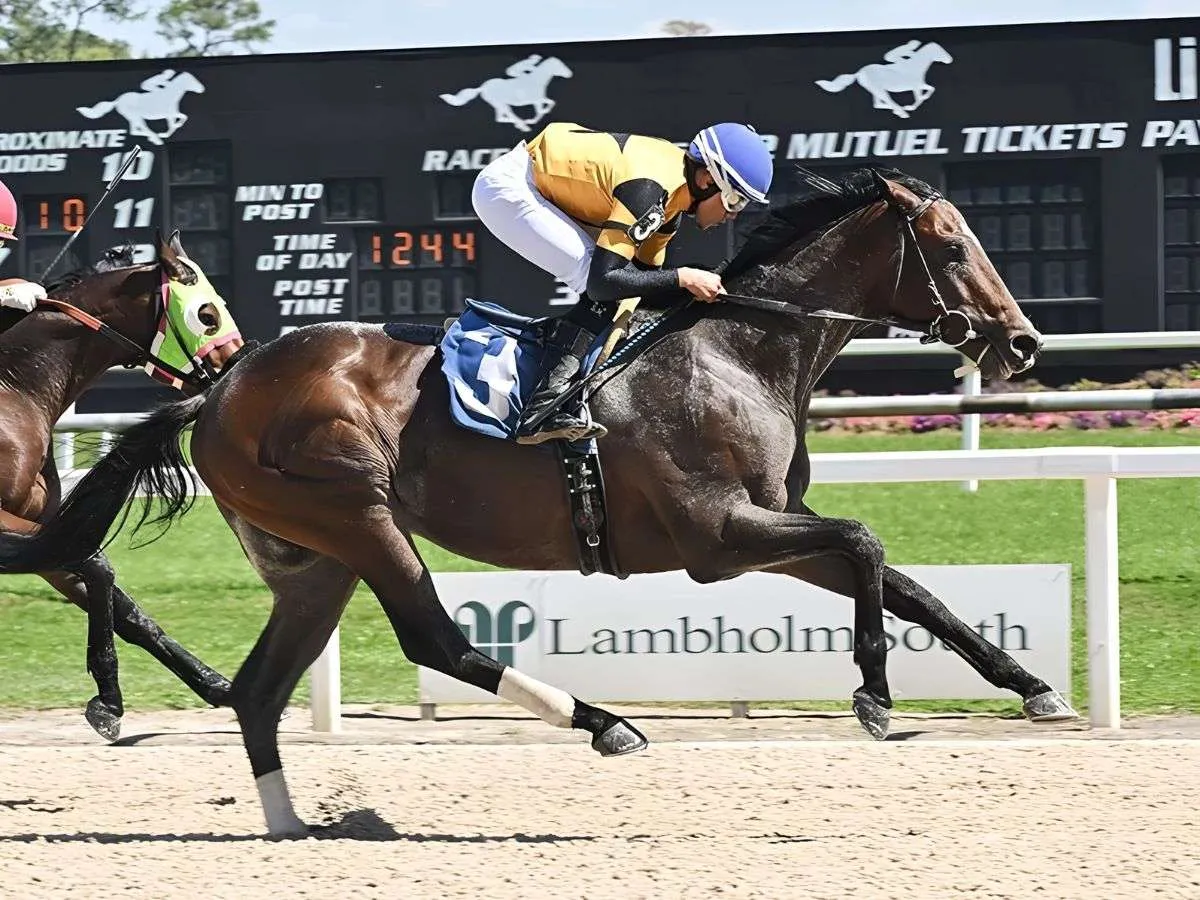 Una tarde de gala en Colonial Downs