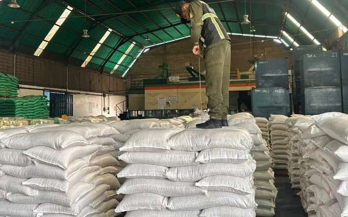 Venezuela exporta 43,2 toneladas de frijol mungo a Francia
