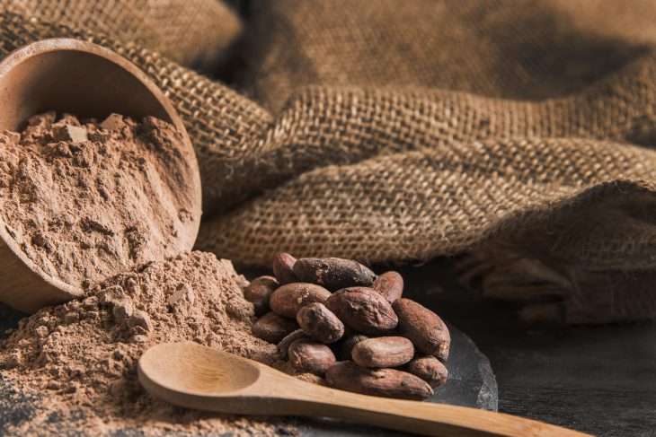 Estas son las acciones prioritarias de Venezuela en materia de cacao